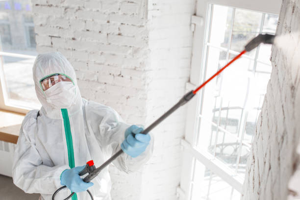 Best Mold Removal for HVAC Installations  in Beach Haven West, NJ