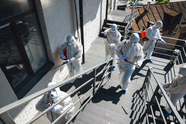 Best Emergency Mold Remediation  in Beach Haven West, NJ