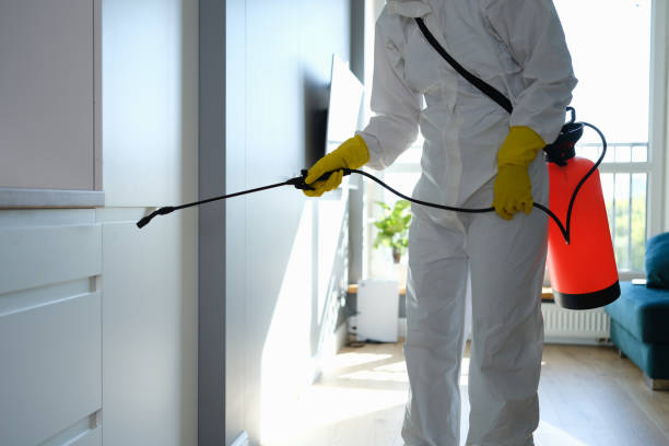 Best Biohazard Mold Removal  in Beach Haven West, NJ