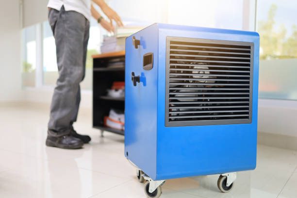 Best Commercial Mold Inspection  in Beach Haven West, NJ